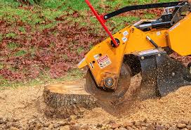 How Our Tree Care Process Works  in  Bunker Hill, IL